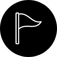 Celebration icon