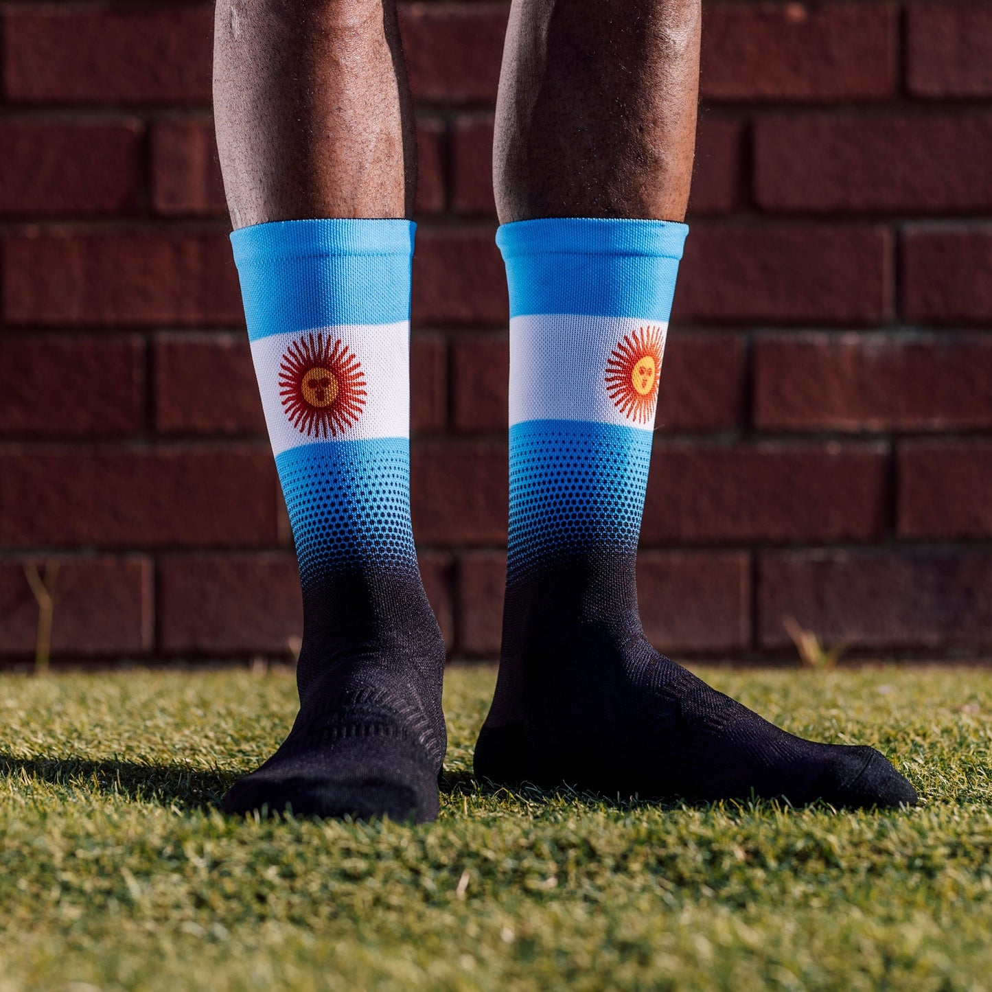 Argentina Flag Socks